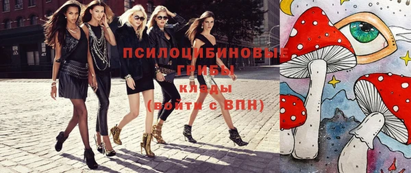 бошки Володарск