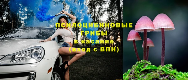 бошки Володарск
