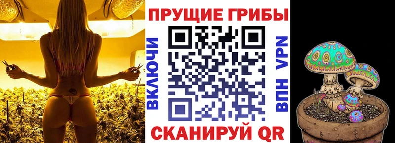 хочу наркоту  kraken ТОР  Галлюциногенные грибы Psilocybine cubensis  Истра 